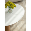 AMBER Sintered Stone Coffee Table 1.1M - Oak & White