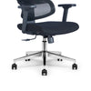 BIRGER Executive Office Chair with Headrest - Black