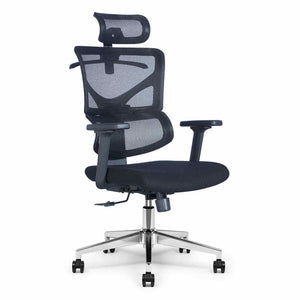 BIRGER Executive Office Chair with Headrest - Black