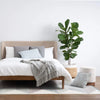 AURA Ottoman 37.5cm - Beige & Walnut