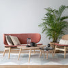 POLARA 2 Seater Lounge Chair - Oak & Salmon