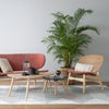 POLARA Lounge Chair - Oak & Salmon