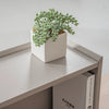 SEVANI  Reception Desk 240cm - Left Counter - Oak