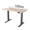 ALVIS Standing Desk with Lift 1.2M - Warm Oak & Black